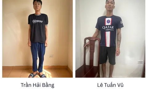 Bắt 2 đối tượng trộm két sắt bê ra đồng phá lấy 7 chỉ vàng và 50 triệu đồng