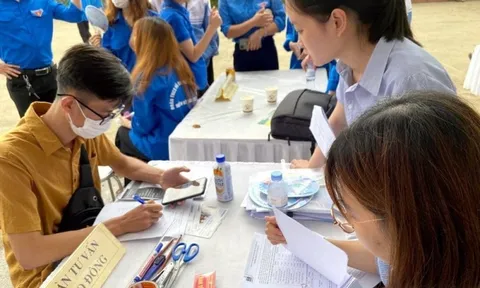 Kế hoạch triển khai thi hành Luật Việc làm