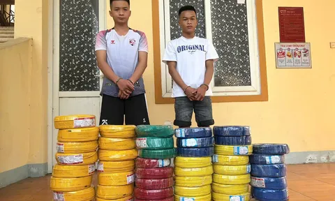 Bắt 2 anh em ruột trộm 44 cuộn dây điện trị giá hơn 70 triệu đồng