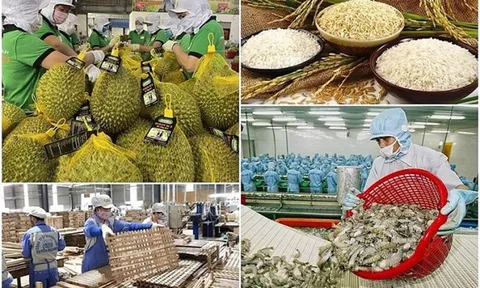 Tăng cường truy xuất nguồn gốc, đảm bảo chất lượng sản phẩm nông, lâm, thủy sản xuất khẩu