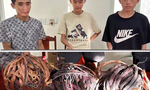 Bắt nhóm đối tượng trộm cắp tài sản ở Thanh Hoá