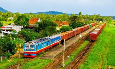 Chính phủ ban hành Kế hoạch triển khai thi hành Luật Đường sắt