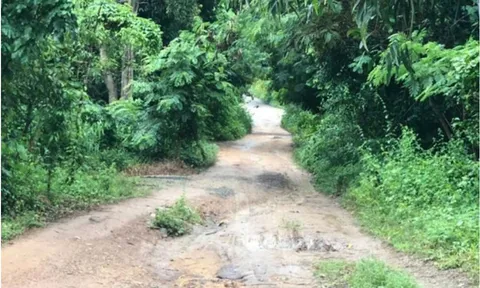 Điều tra vụ con trai dùng dao sát hại mẹ ruột, chém chị gái trọng thương