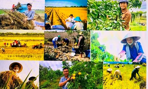 Xây dựng tiêu chí chuẩn nghèo đa chiều phải phù hợp với mục tiêu phát triển quốc gia