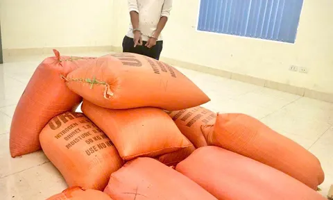 Bắt tạm giam đối tượng trộm hơn 400kg lúa ở Hà Tĩnh