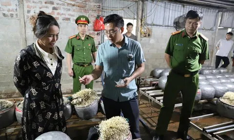 Phát hiện cơ sở dùng chất cấm sản xuất giá đỗ số lượng lớn ở Hà Tĩnh