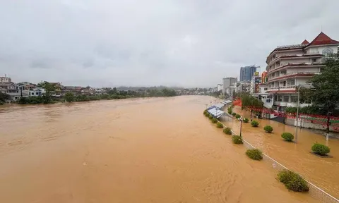 Khẩn trương khắc phục hậu quả mưa lũ tại Cao Bằng, Tuyên Quang, Lào Cai