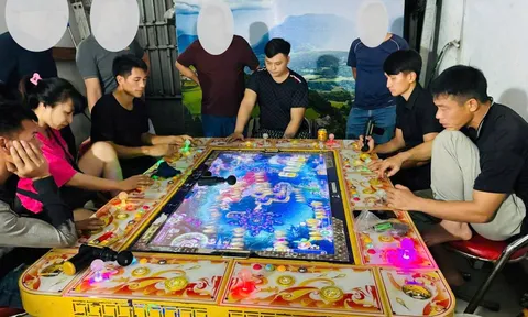 Bắt nhóm đối tượng đánh bạc dưới hình thức game bắn cá ở Lào Cai