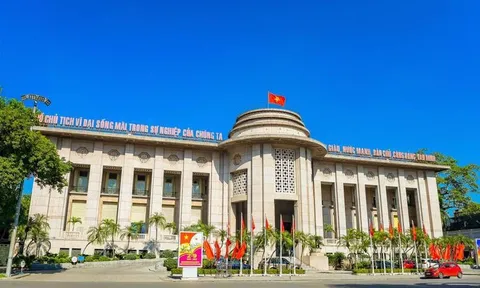 NHNN yêu cầu triển khai các giải pháp hỗ trợ người dân chịu ảnh hưởng bão số 10