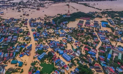 Những đêm không ngủ