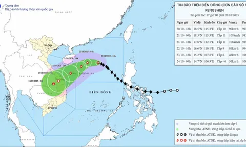 Thủ tướng yêu cầu chủ động ứng phó bão số 12 và mưa lũ