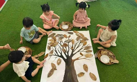 Quy định mới về phổ cập giáo dục mầm non cho trẻ em từ 3 đến 5 tuổi