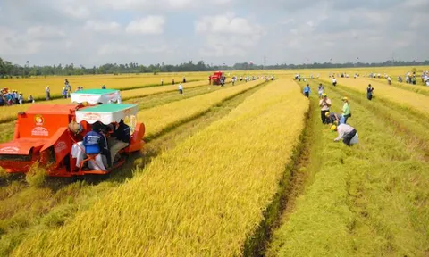 Các trường hợp được miễn thuế sử dụng đất nông nghiệp đến hết ngày 31/12/2030
