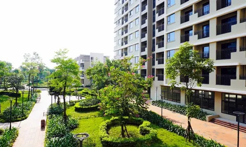 Bán, cho thuê, cho thuê mua nhà ở xã hội không đúng đối tượng quy định bị phạt đến 160 triệu đồng