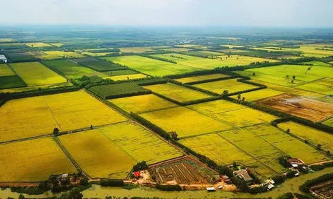 Quy định mới về các đối tượng được miễn thuế sử dụng đất nông nghiệp
