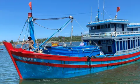 Sửa đổi một số quy định về xử phạt vi phạm hành chính trong lĩnh vực thủy sản