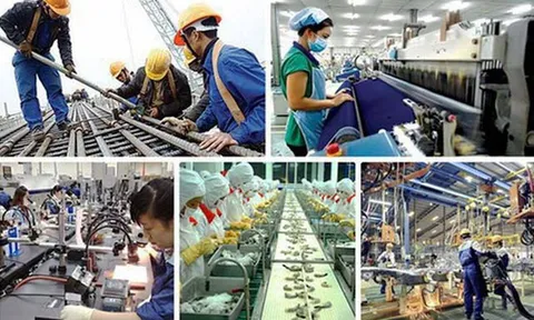 Quy định mới về hệ thống thông tin thị trường lao động từ năm 2026