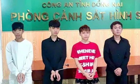 Trách nhiệm hình sự của 4 đối tượng ném vỏ chai bia gây chết người ở Đồng Nai