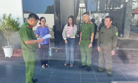 Nữ nhân viên một doanh nghiệp tư nhân đã tham ô gần 8,7 tỷ đồng như thế nào?