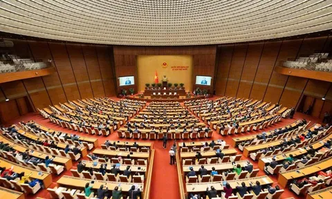 Đưa Luật, Nghị quyết vào cuộc sống: Trách nhiệm từ ban hành đến thực thi