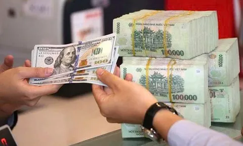 Chi tiết các mức phạt vi phạm hành chính trong hoạt động ngoại hối