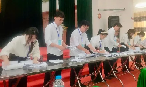 Người trúng đấu giá đất không nộp tiền bị xử lý như thế nào?