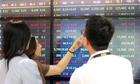 Quy định mới về việc cấp chứng chỉ hành nghề chứng khoán