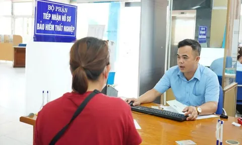 Trường hợp nào được xác định đang đóng bảo hiểm thất nghiệp?