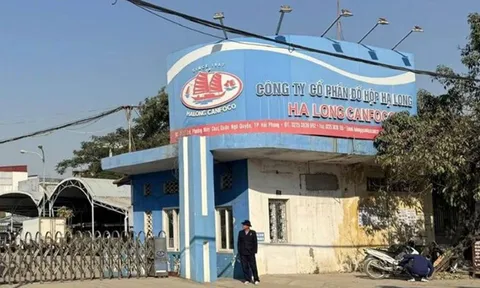 Vụ phát hiện 120 tấn thịt lợn nhiễm bệnh: Người tiêu dùng cần làm gì?