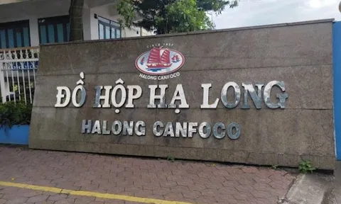 Bắt khẩn cấp Tổng giám đốc Công ty CP Đồ hộp Hạ Long