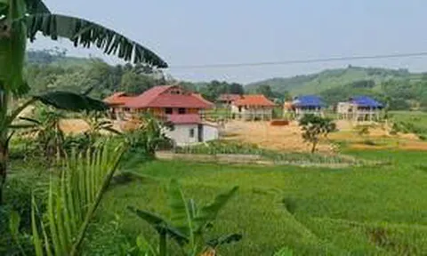 Đất sử dụng sai mục đích, đã kê khai đăng ký, có được chuyển nhượng không?