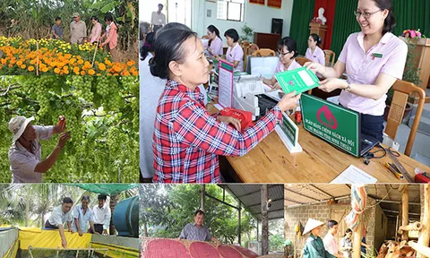 Quy định về tổ chức, hoạt động của Ngân hàng Chính sách xã hội