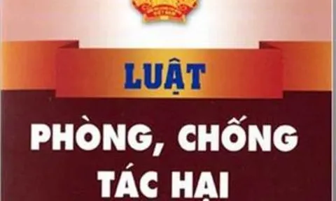 Đề xuất sửa Luật Phòng, chống tác hại của thuốc lá