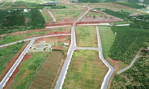 Tách thửa, chuyển mục đích sử dụng đất: Cần căn cứ những quy định nào?