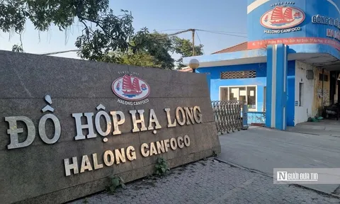 Từ vụ đồ hộp Hạ Long: Bịt 'lỗ hổng' trong sản xuất, kinh doanh thực phẩm bẩn thế nào?