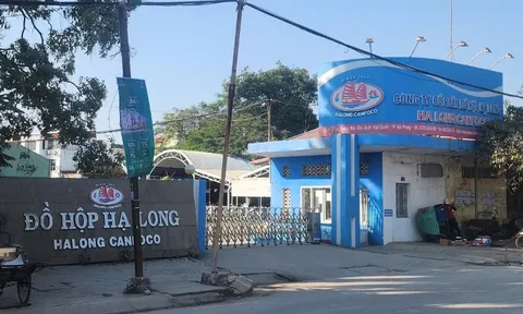 Nhân viên kiểm dịch nhận hối lộ của Công ty Đồ hộp Hạ Long ra đầu thú