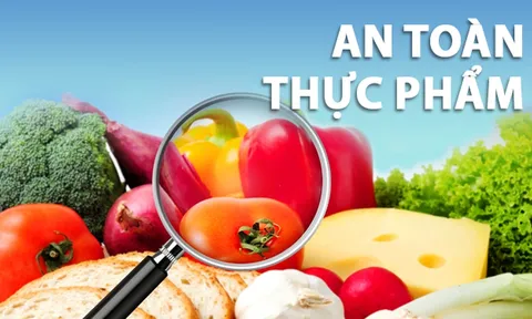 Bổ sung dự án Luật An toàn thực phẩm (sửa đổi) vào Chương trình lập pháp năm 2026