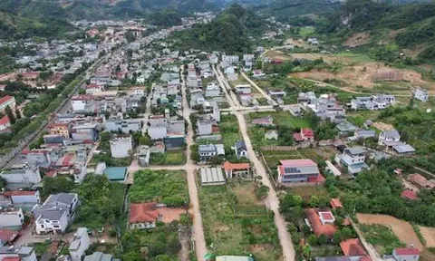 Đất khai hoang, không giấy tờ: Khi nào được cấp sổ đỏ, khi nào bị xử phạt?