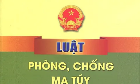 Triển khai thi hành Luật Phòng, chống ma tuý