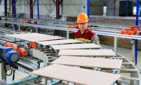 Đề xuất chính sách ưu đãi nghiên cứu, đầu tư phát triển, sản xuất, sử dụng vật liệu xây dựng
