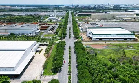 Hướng dẫn cho thuê đất đối với dự án có liên danh đầu tư