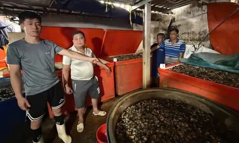 Ốc bươu ngâm 'thủy tinh lỏng': Cái giá phải trả cho hành vi trục lợi trên sức khỏe người dân