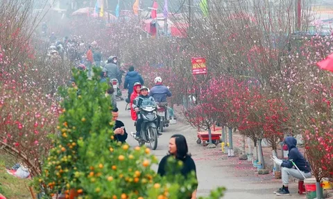 Tết và chợ hoa