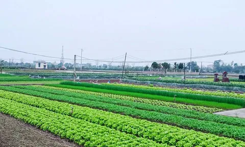 Quy định tính tiền sử dụng đất đối với hộ gia đình, cá nhân khi chuyển từ đất nông nghiệp sang đất ở năm 2026