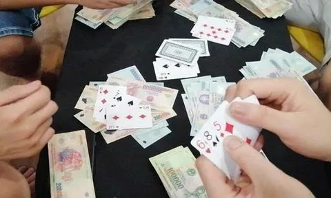 Hành vi tổ chức đánh bạc, chứa cờ bạc có thể bị xử phạt ra sao?