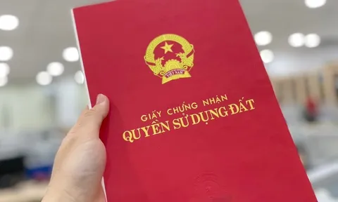 Thông tin sổ đỏ được thay thế giấy tờ trong thủ tục hành chính
