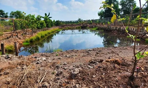Chuyển một phần đất nông nghiệp sang đất ở trong hạn mức, tính tiền sử dụng đất như thế nào?