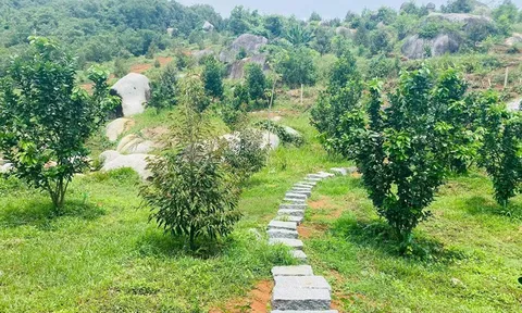 Nợ tiền sử dụng đất từ 20 năm trước, có phải xác định lại tiền sử dụng đất theo giá hiện hành?