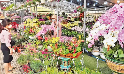 Những người bán hoa tết