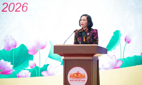 Hành trình để có thể từ 'người ứng cử' thành công trúng cử trở thành 'người đại biểu'